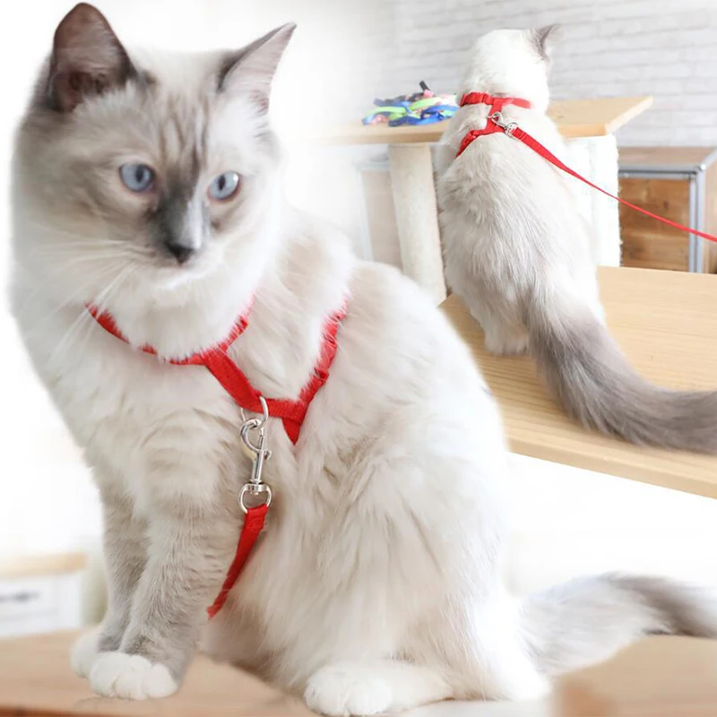 Кошка-конкретные поводок, ремень Жгут Регулируемый цепочка для кота пояса нейлоновый ремешок собака ремня через одно плечо кошка рубашка с принтом с котами и воротником с лямкой на шее красное