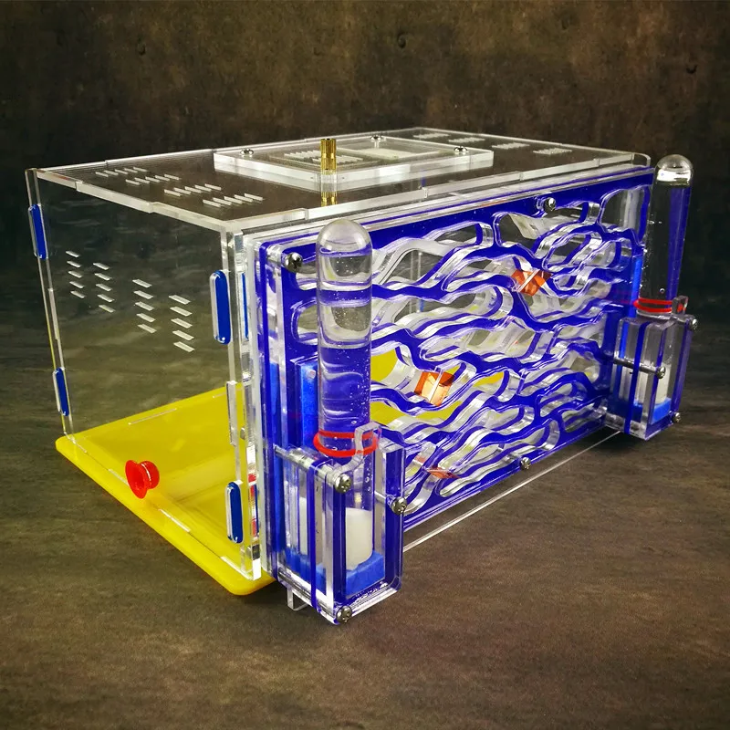 Большая муравьиная гнездо D2 с зоной для кормления двойная водяная башня ферма