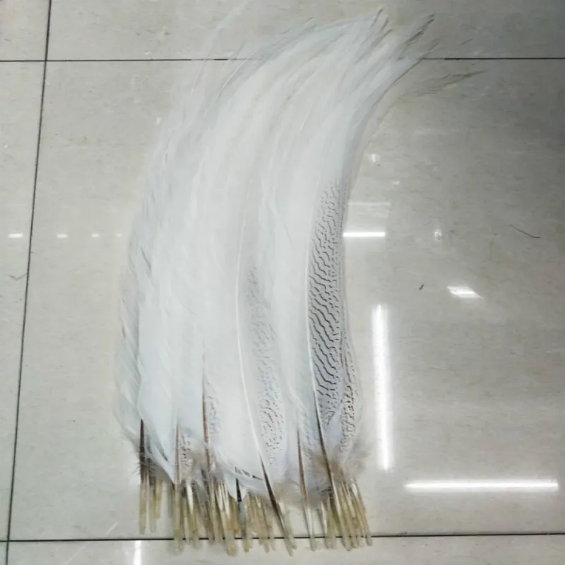 

Pretty 10/50/100pcs Natural 20-80cm/8-32 inch silver chicken feathers white feather stage celebration DIY decoration