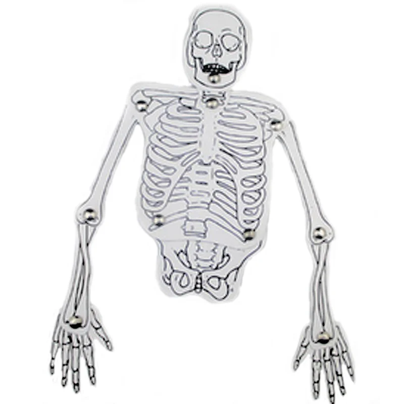 1 Набор ручная работа модель скелетной структуры научный эксперимент