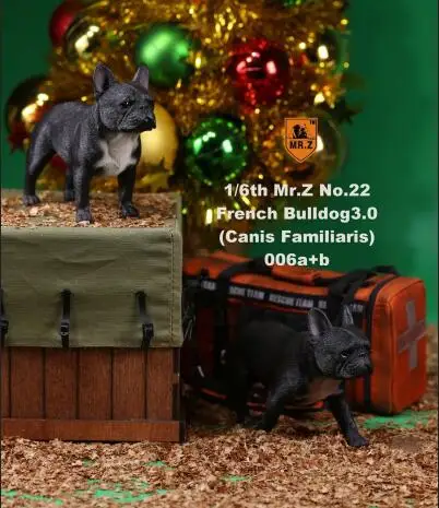 006 2 шт./набор 1/6 FD002 Французский бульдог 3,0 Canis ознакомление черная собака модель F коллекция 6 цветов для 1/6 фигурка - Цвет: 006