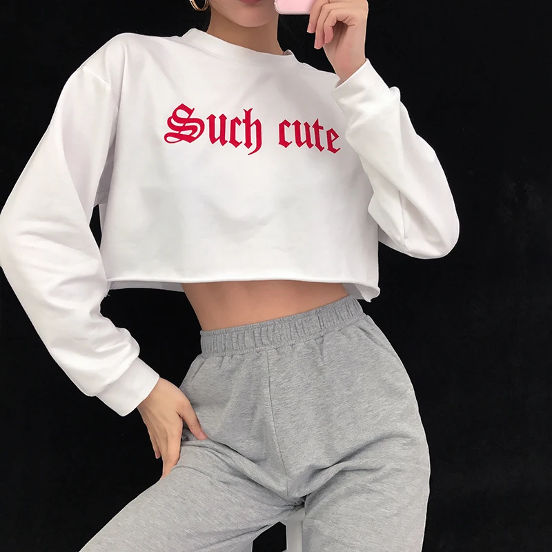 HEYounGIRL Повседневный Свободный укороченный топ с капюшоном Harajuku с длинным рукавом укороченная толстовка с капюшоном с буквенным принтом женские толстовки пуловер