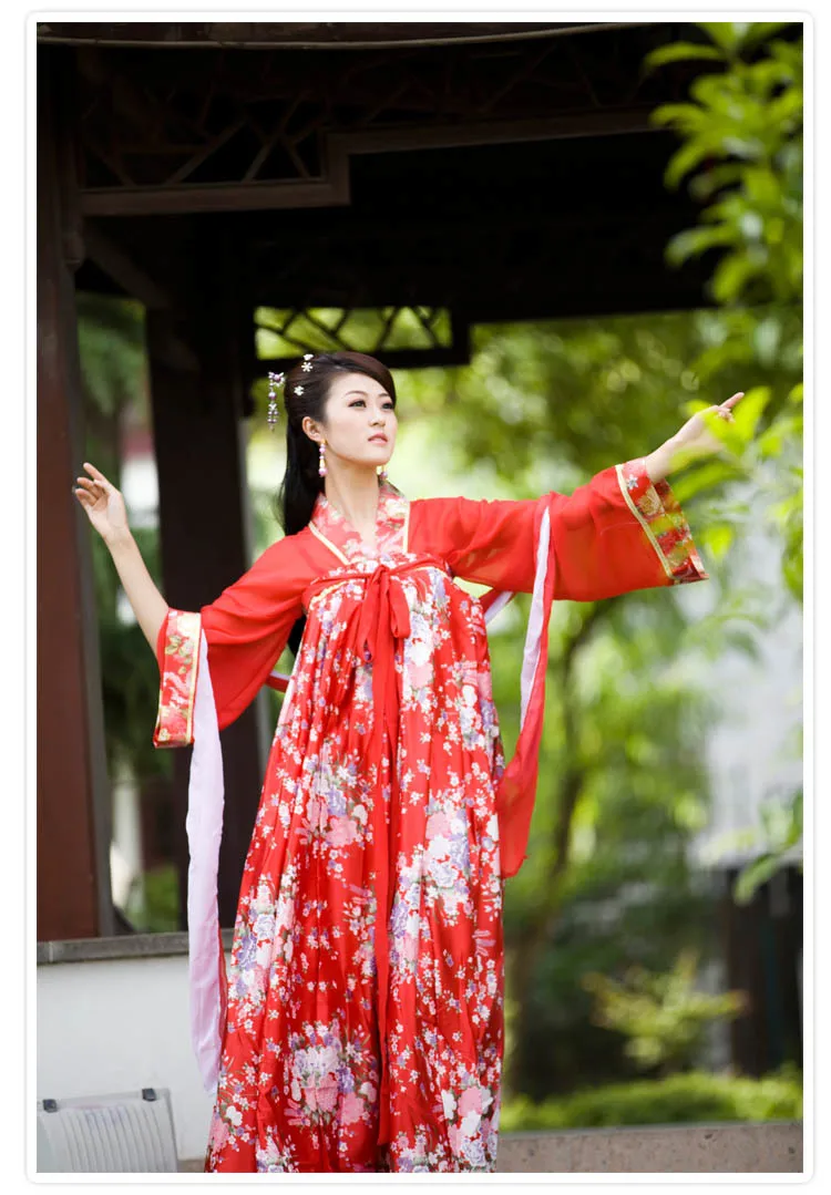 New Chinese Ancient Clothing Hanfu Skirt Hanfu Women's Skirt Costume Hanfu Double-breasted Dress
