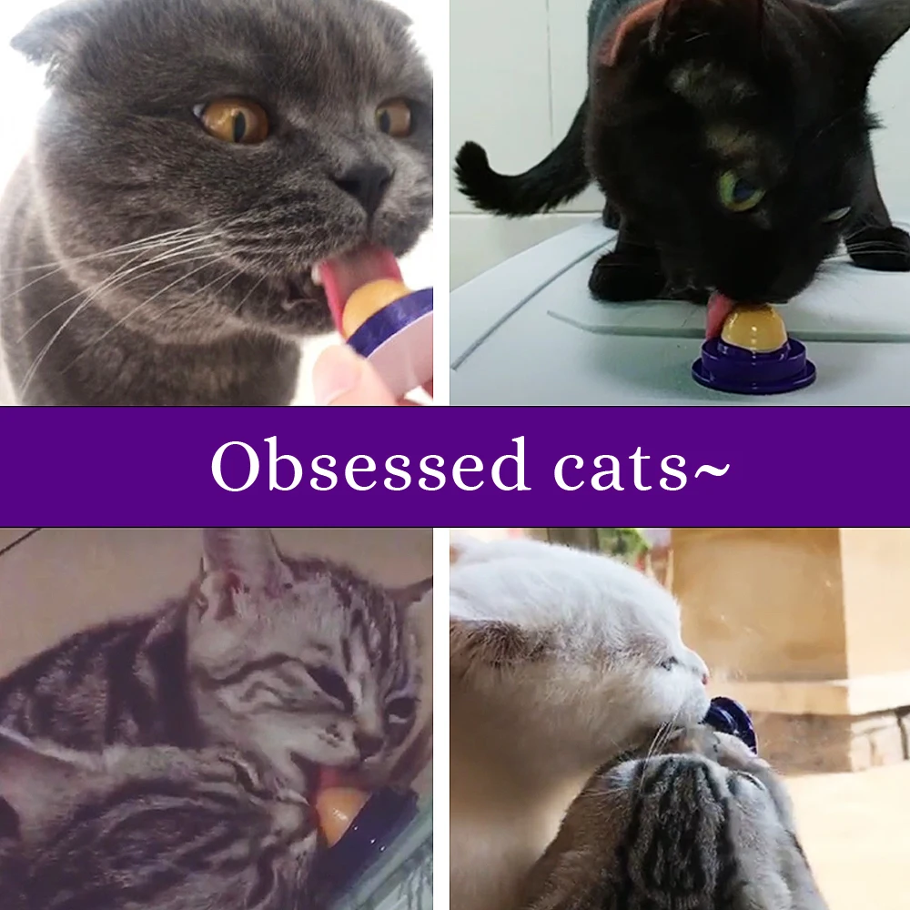 Натуральная кошачья мята кошачьи игрушки котенок лакомство мяч кошки играя