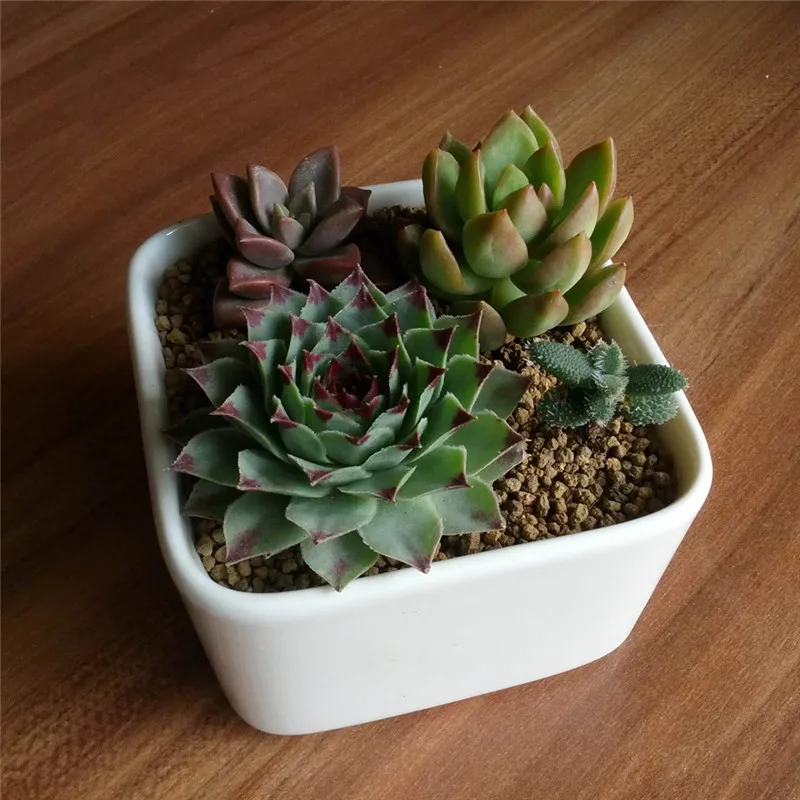 Простая белая керамическая оригинальная настольная прямоугольная для мяса