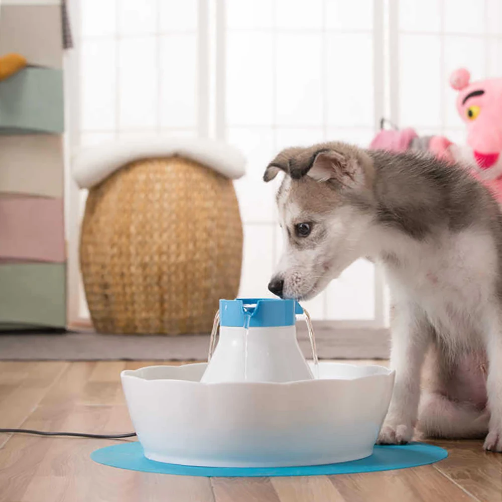 

Pet Products