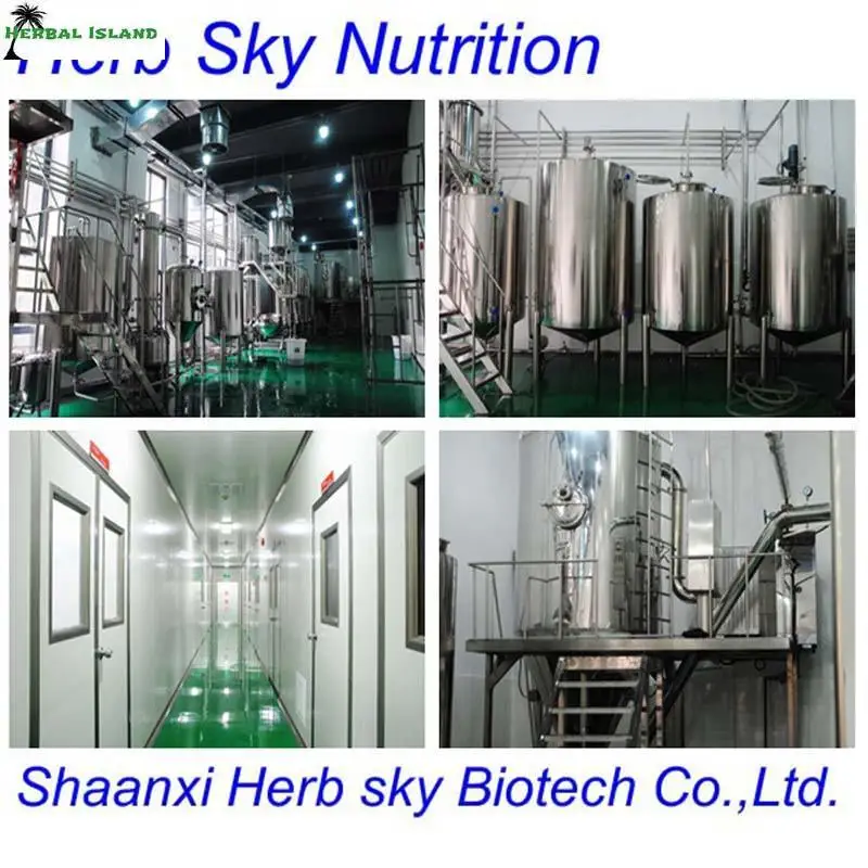 Похудения Чисто Гарциния Камбоджийская Плодов Экстракт HCA 60% 1000 г/пакет доставкой по EMS|extraction juicer|fruit preparationfruit