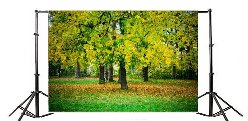 

Photography Backdrop Nature Ric Jungle Old Tree Falling Leaves Grass Field