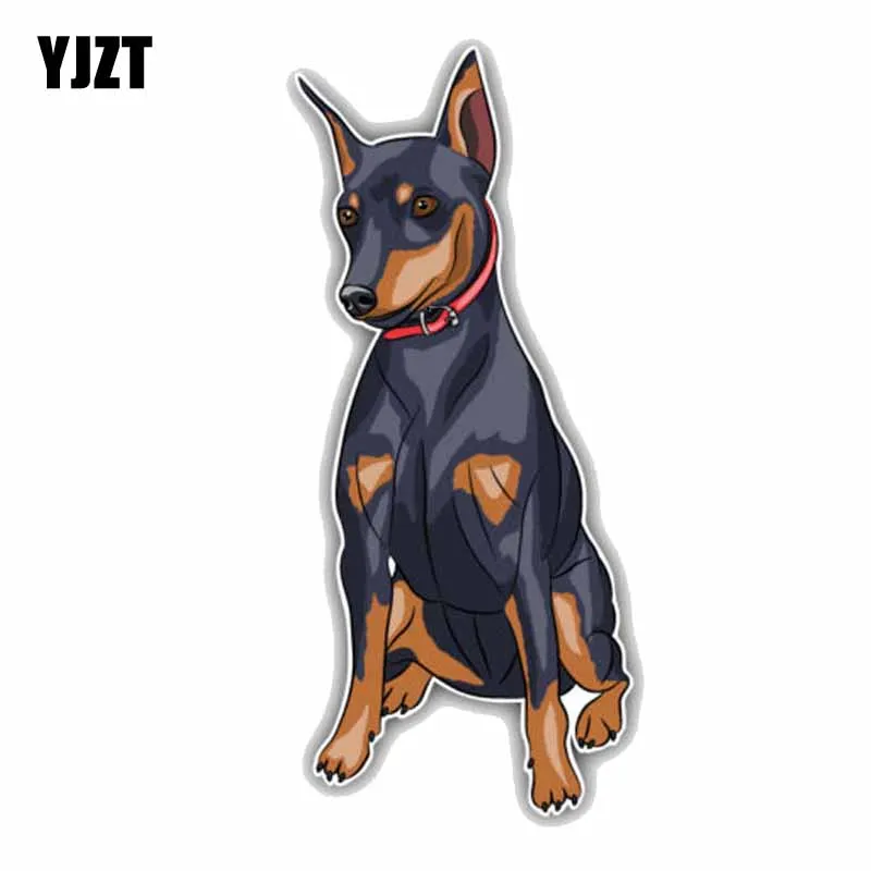 Миниатюрная машинка Pinscher YJZT размером 7 6 см х 17 для собак автомобиля переводная