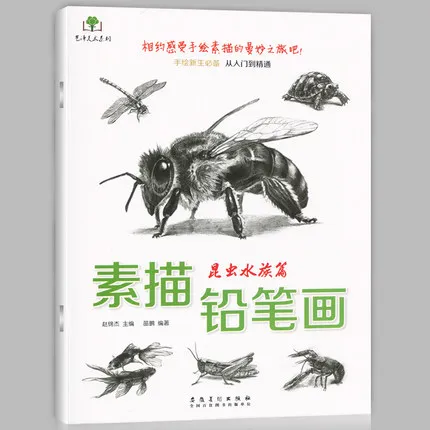 

Эскиз карандаш и насекомые аквариум Новые студенты от начала до книги мастера