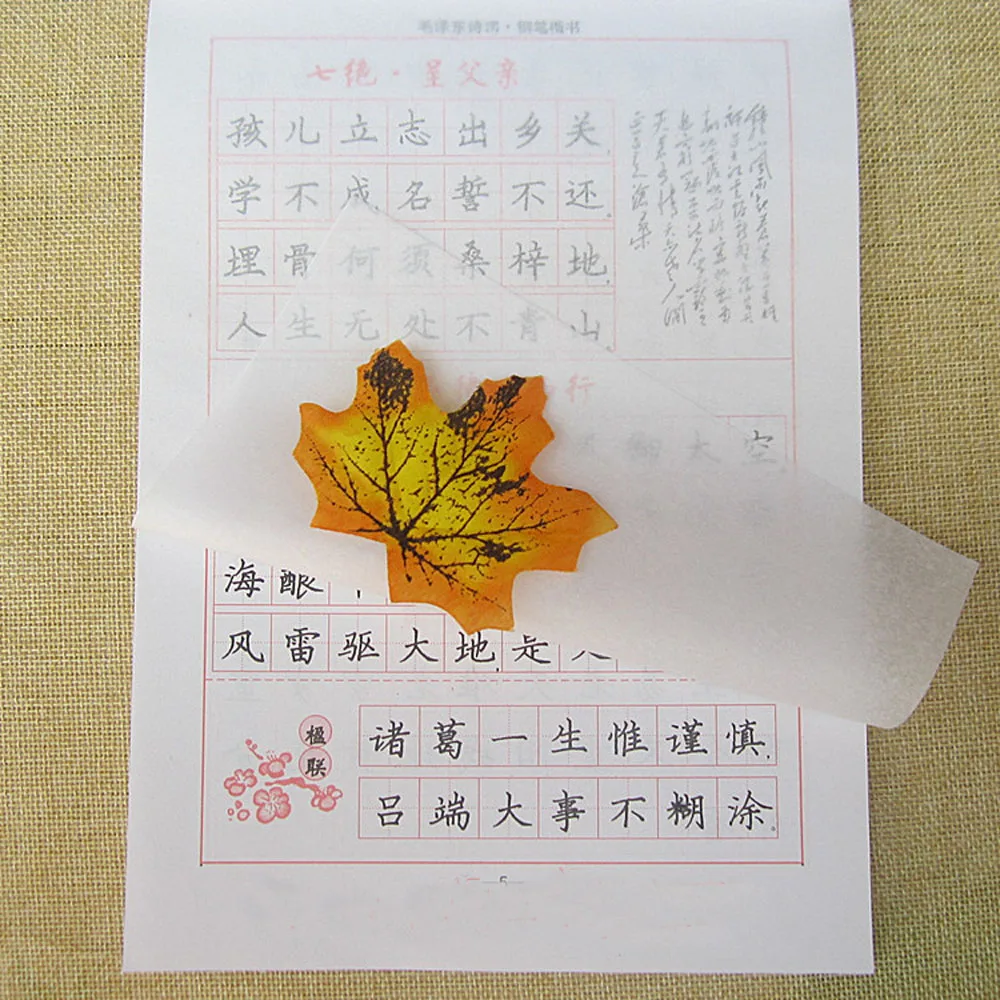 Китайская каллиграфия пера сценариев упражнения прописи: Мао Цзэдуна поэзии si