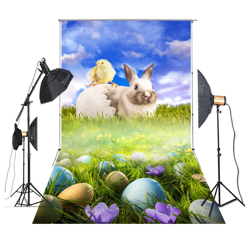 

HUAYI Photography Backdrop Easter Decoration Rabbit Eggs Hatch Chicken Flower Background For Studio Photo XT-7064