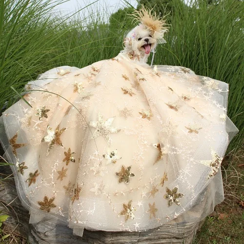 As Shown Pet Dog Dress Luxury Trailing Princess Wedding Dress For Small Dogs Golden Embroidery Puppy Clothes Lace Dress Chihuahua Poodle - Цвет: As Shown