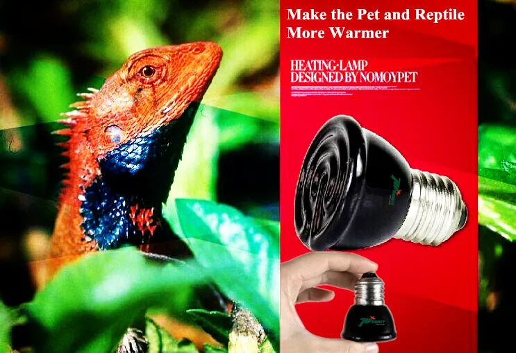 Керамический обогреватель для рептилий домашних животных 25 Вт 50x58 мм |