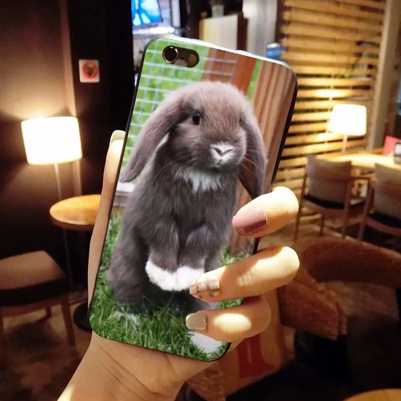 MaiYaCa животное большие уши кролики чехол для iPhone X 8 7 6 6S Plus 5 5S SE 4S | Мобильные