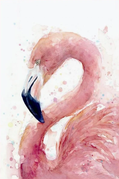 Flamingo Zozack Фламинго любовь Dmc Вышивка крестиком узоры Сделай Сам ручной работы Набор для вышивки крестиком китайский подсчет наборы для вышивки крестиком Декор - Цвет: Flamingo
