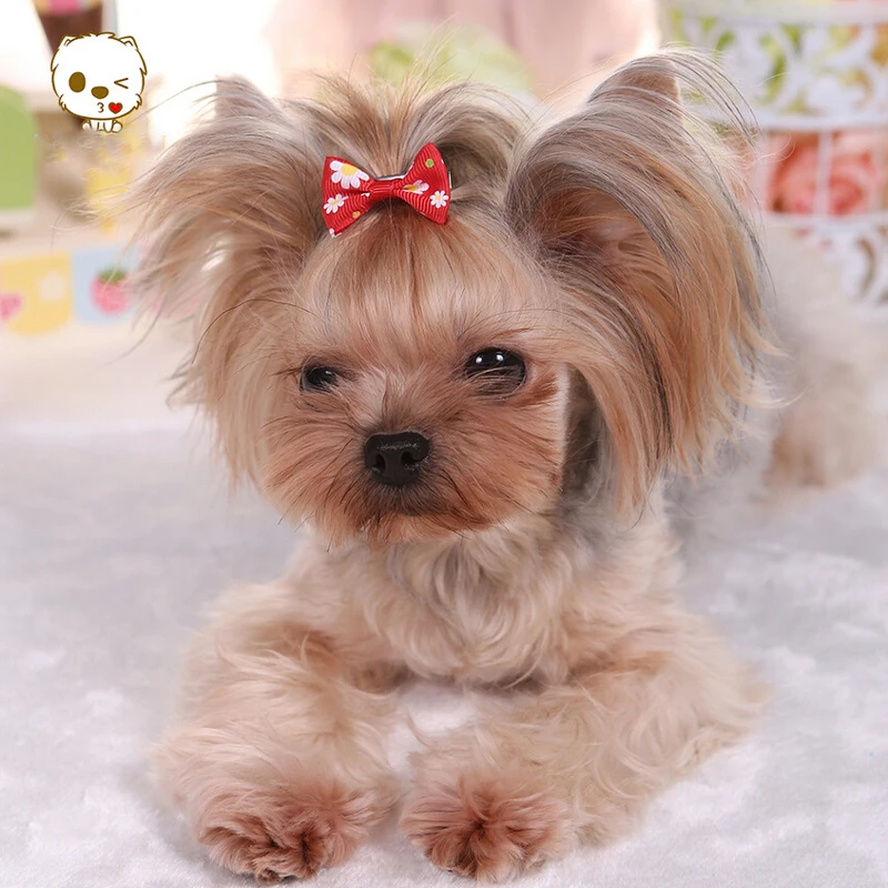 Милые банты для шерсти собаки аксессуары волос ручной работы маленьких собак