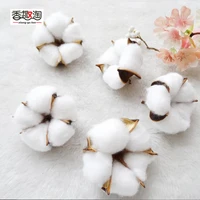 natural dried flowers plants cotton flowers head for home wedding decoration fake flowers decor 6pcs