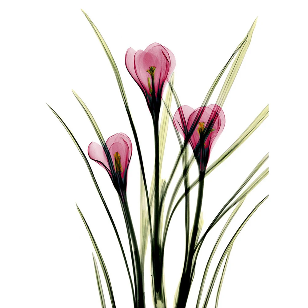 Mural Wall Picture Living Room Transparent Gift Rectangle Print Flower Art Home Decor Canvas Painting Unframed Modern Bedroom | Дом и сад