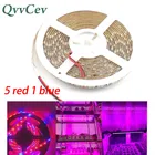 Светодиодный ная лента для выращивания растений светильник м DC 12 В 5 Красный 1 синий 5050 Светодиодная лента для теплицы система выращивания растений аквариум для гидропоники