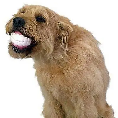 Pets Dog Puppy Cat Ball Teeth Style Toy Silicone Chew Sound Play Tool | Дом и сад