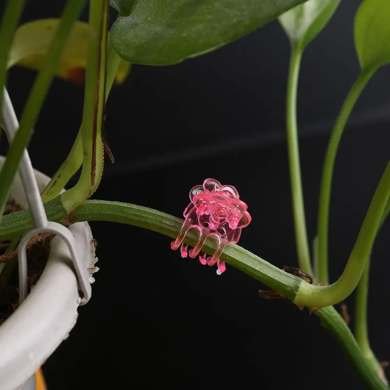 60 шт. пластиковые зажимы для фиксации растений орхидеи садовые опорные