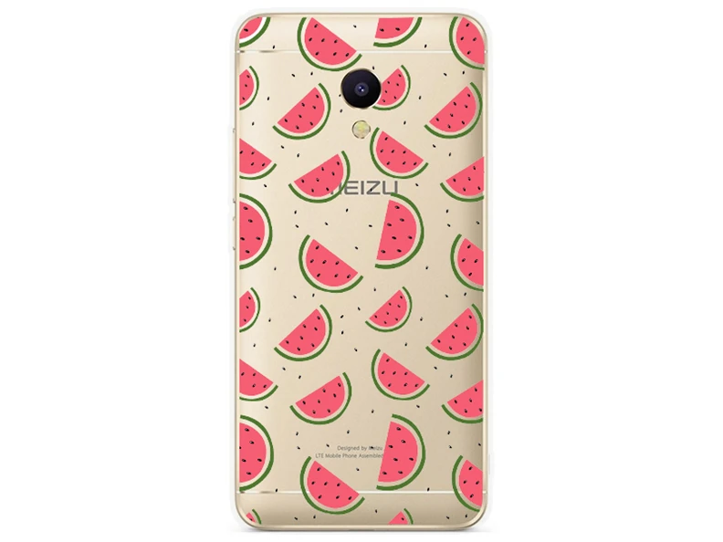 Силиконовый чехол для Meizu M5 M5S mini с 5 2-дюймовым принтом в виде классной кошки чехлы
