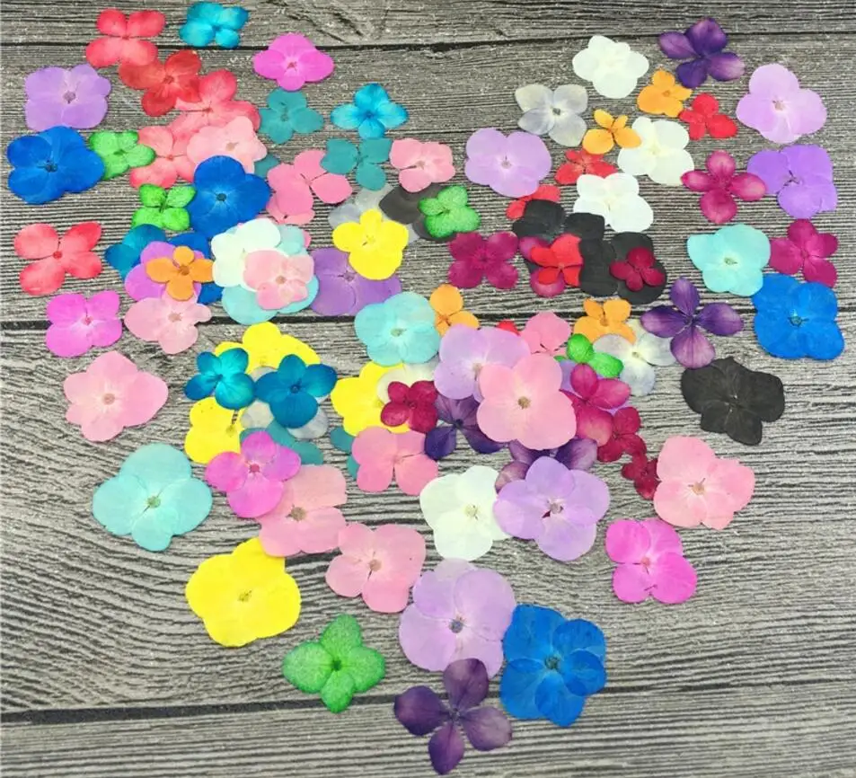 

120pcs 2-2.5cm Pressed Hydrangea Macrophylla Flowers Plant Herbarium For Jewelry Postcard Bookmark Craft DIY Accessories