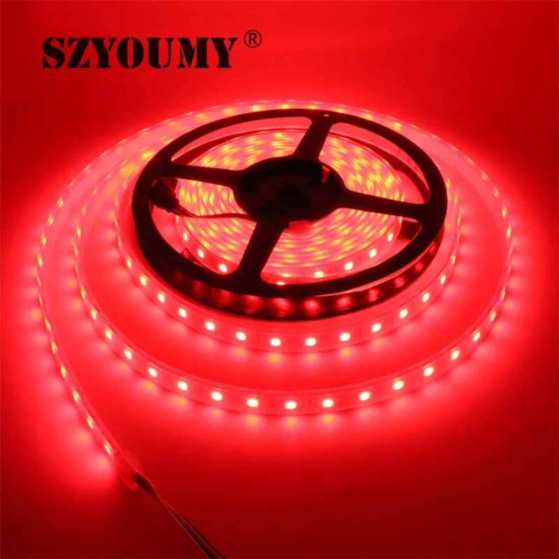 

SZYOUMY Led Strip Light 5050 Silicon Tube Waterproof IP66 DC 12V 300LEDS 5m RGB White Warmwhite Red Blue Green Tape Rope