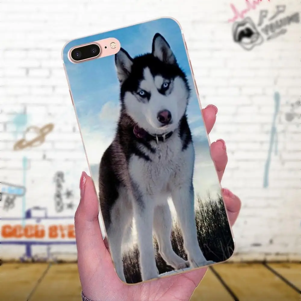 TPU мобильный телефон для Galaxy J1 J2 J3 J330 J4 J5 J6 J7 J730 J8 2015 2016 2017 2018 mini Pro Wacky Husky | Мобильные