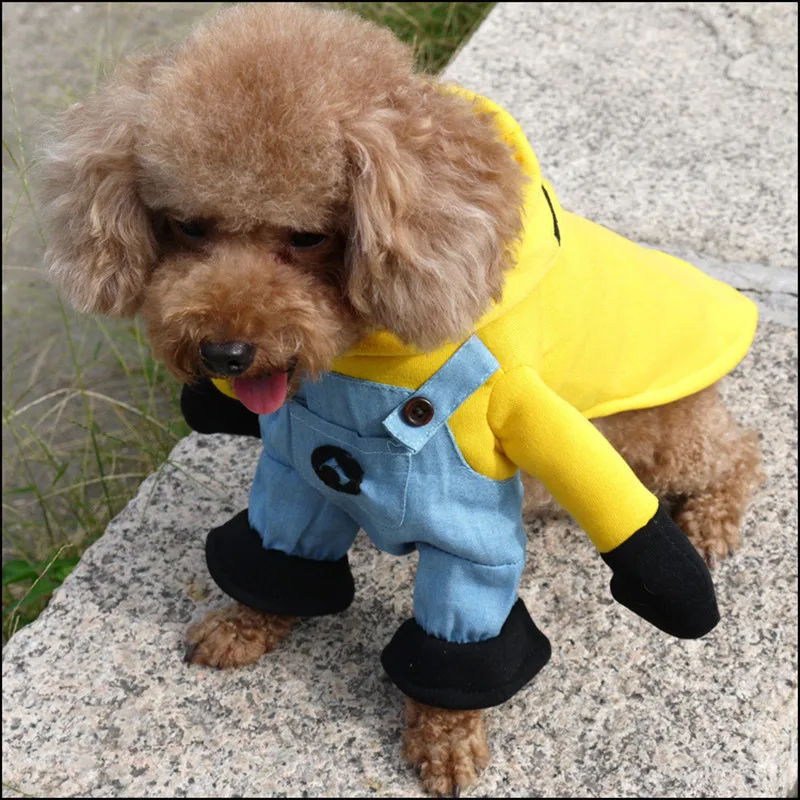 Одежда для домашних собак пальто одежда кошек костюмы животных щенков чихуахуа