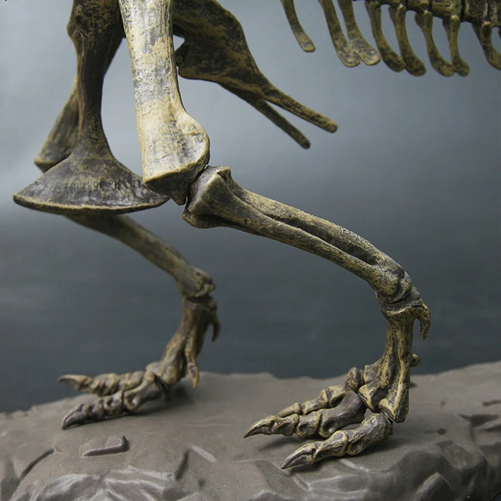 4D сборка Fossil Скелет динозавр моделирование животных модель игрушки научный