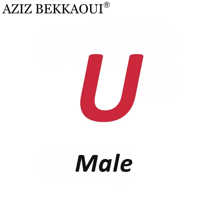 Male U AZIZ BEKKAOUI DIY обслуживание на заказ специальный зимний подарок для друзей, любимых подарок на день Святого Валентина Прямая поставка 3040-49 - Окраска металла: Male U