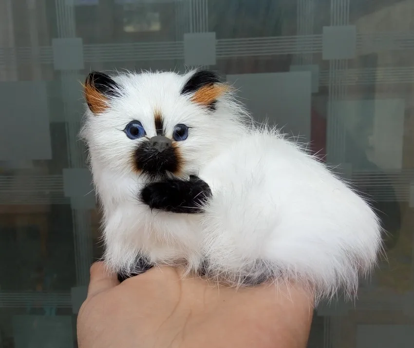 Белая модель кошки, примерно 11 Х9 см, полиэтиленовые и меховые фигурки ручной работы, украшение для дома, игрушка в подарок a2784