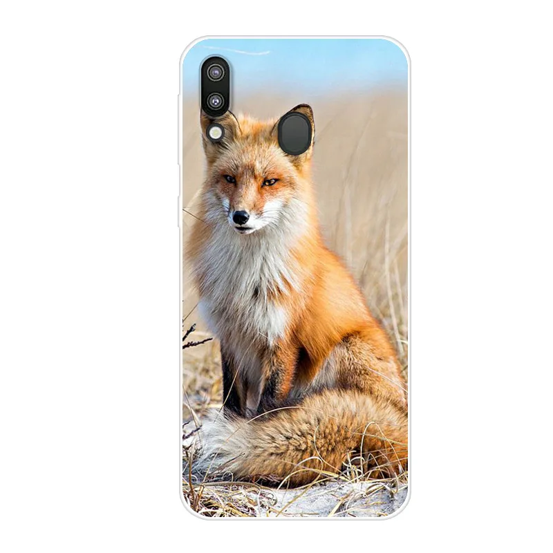 13 Для samsung M20 чехол милый мультфильм мягкий силиконовый планета кошка для телефона С Рисунком Тигра чехол для samsung Galaxy M20 задняя крышка M 20 M205F Coque - Цвет: 13