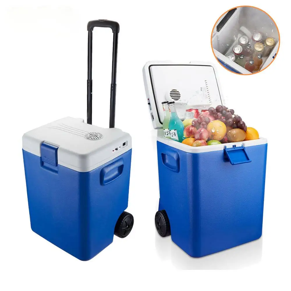 30 л 12 В портативный автомобильный дорожный холодильник кулер и обогреватель мини