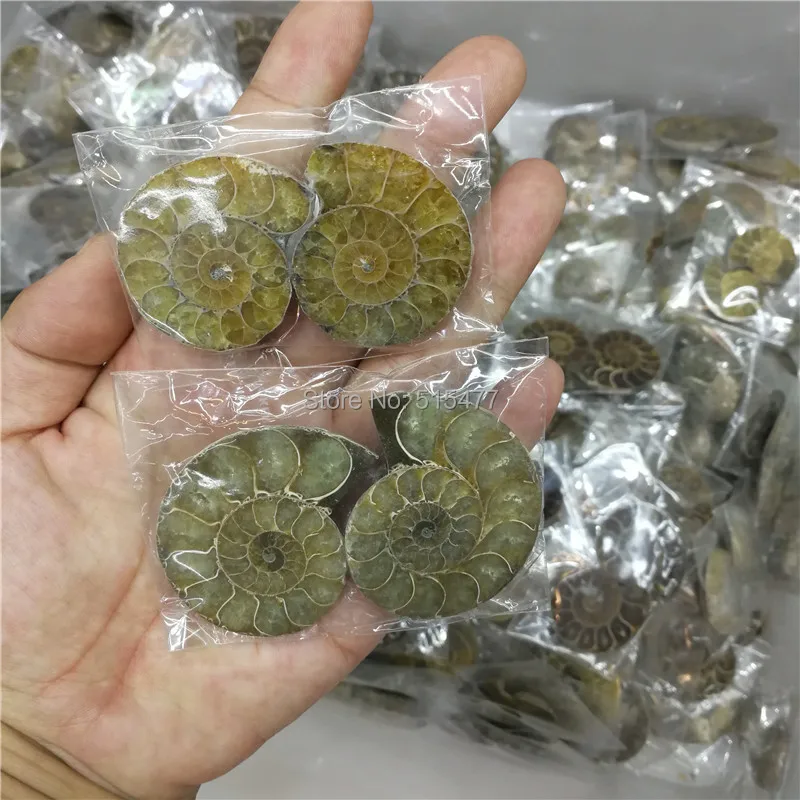 Оптовая продажа натуральный Радужный раздельный аммонит ископаемый разрез