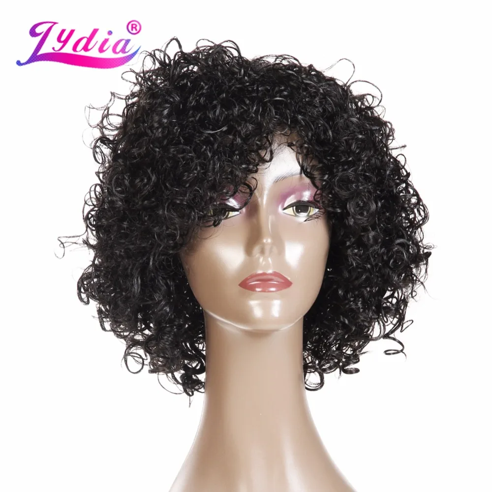 Lydia Afro Curly Synthetic Wigs Short Kanekalon Heat Resistant Wig For African American Women Natural Black & Mix Color