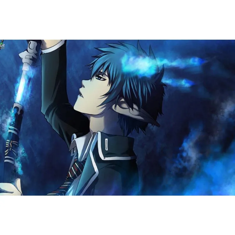 Туфли для косплея Blue Exorcist холст ткань тканевый плакат пользовательские граффити