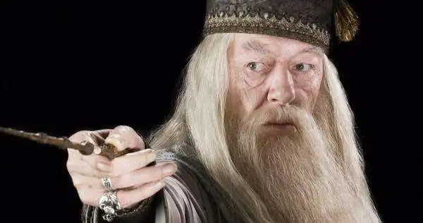 Wig Mustache Only Альбус Дамблдор косплей костюм халат парик усы Дамблдор Волшебная палочка Взрослый Хэллоуин Карнавальный костюм для вечеринки для мужчин и женщин - Цвет: Wig Mustache Only