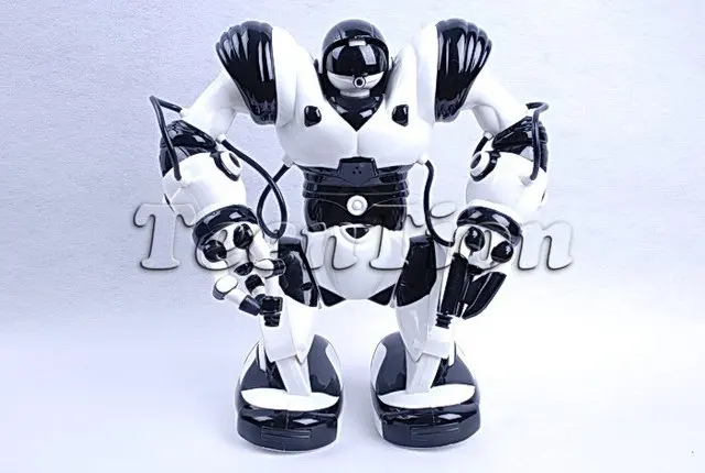 Бесплатная доставка TT313 пульт дистанционного управления RC робот игрушка Roboactor