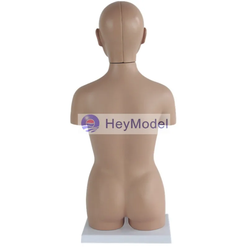 Анатомическая кожа HeyModel 45 см с 16 частями | Канцтовары для офиса и дома