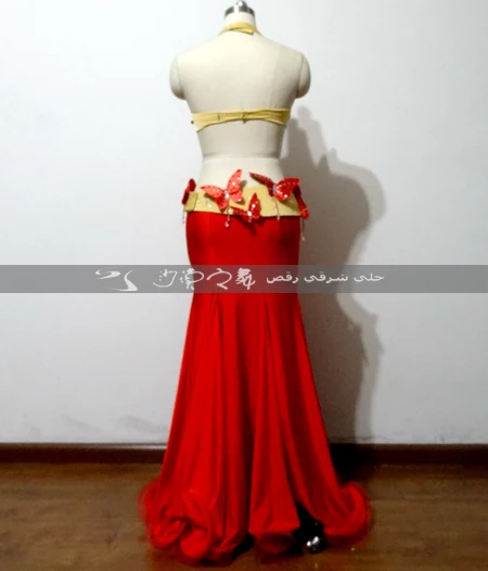 Oriental dancing costume Belly dance hair swinging Indian Egyptian costumes Bellydance clothes bra belt skirt dress 3046 | Тематическая