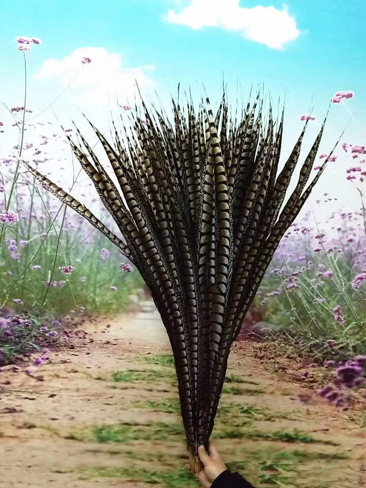 10 шт. высококачественные оригинальные натуральные женские перышки Amher pheasant 4-44