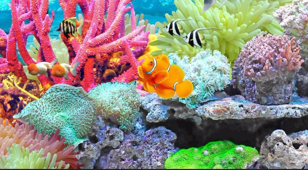 3d обои на заказ роспись фото морской водный Дельфин коралловые рыбы украшение