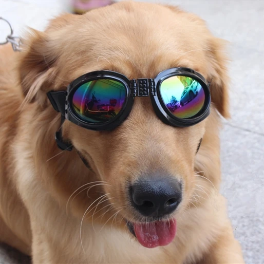 black sunglass free Славные шлемы для собак Kek для мотоциклов с солнцезащитными очками крутая ABS модная шапочка для домашних собак пластиковая защитная Кепка для питомцев SML - Цвет: black sunglass free