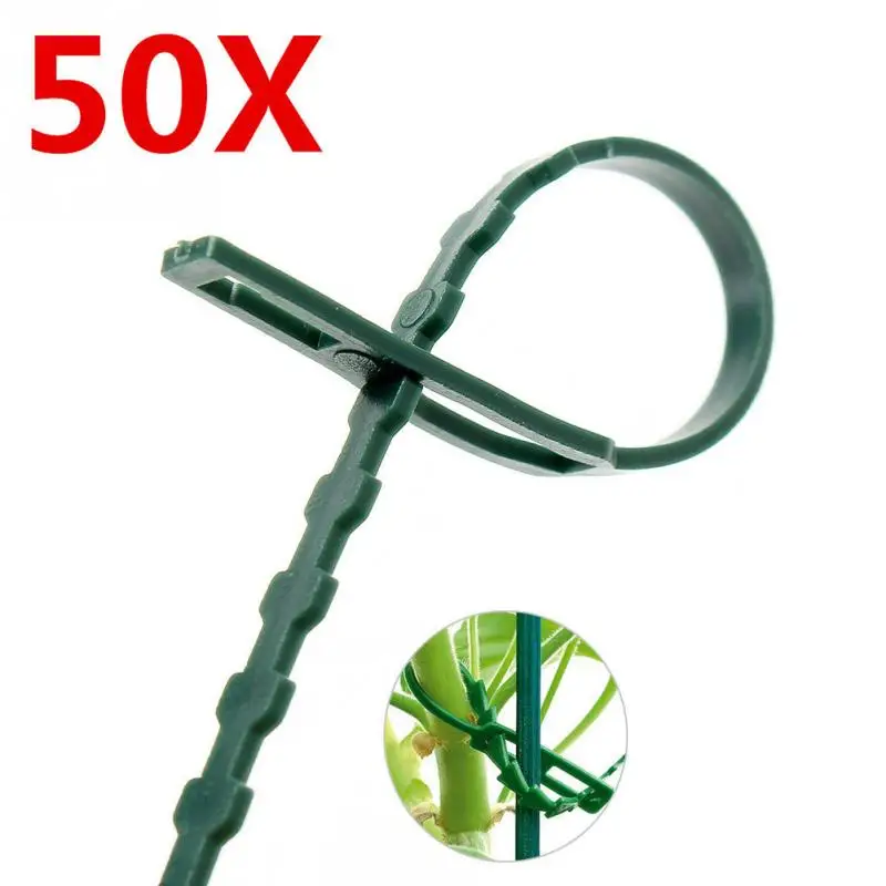 50 шт. многоразовые завод Vines фиксированного крепления крюк Регулируемый