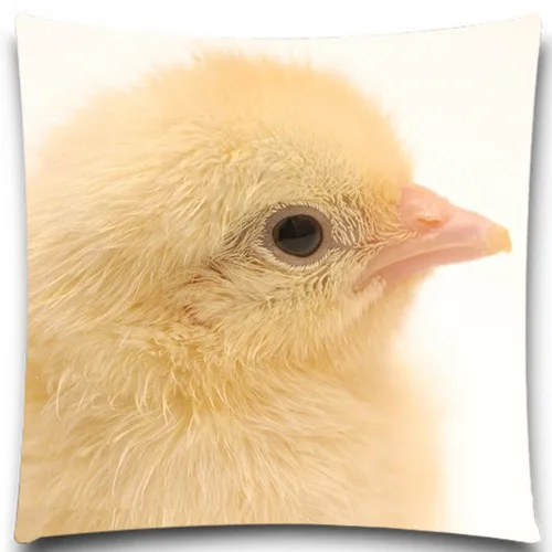 Чехол с квадратной подушкой декоративный хлопковый полиэстеровый чехол для