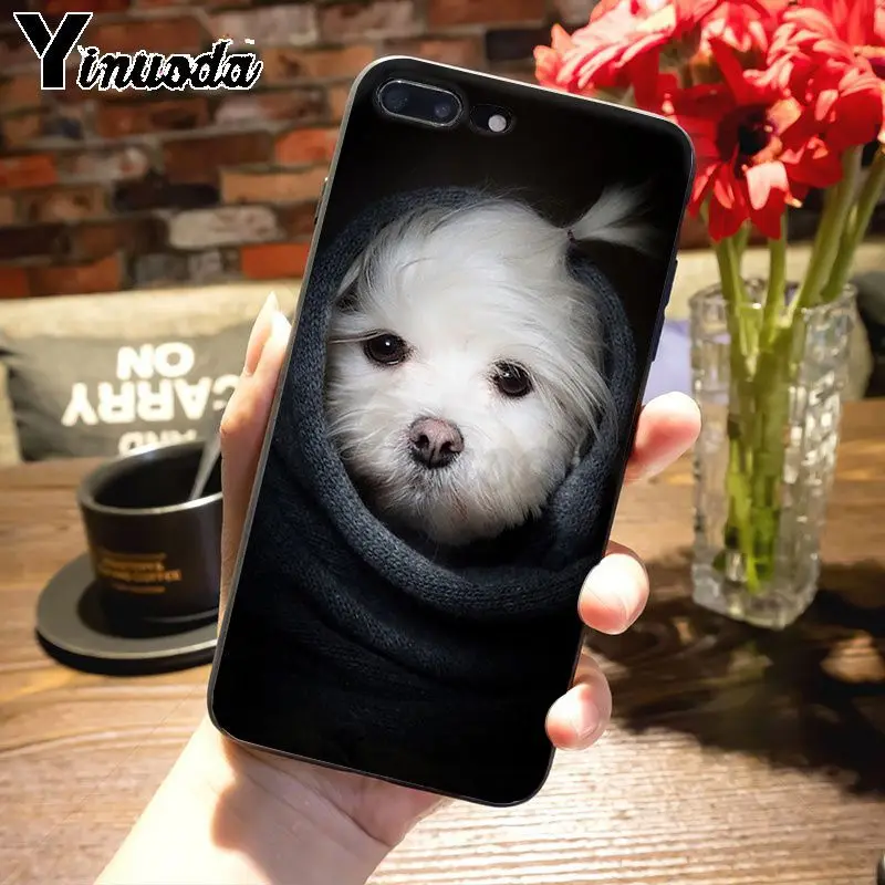 Yinuoda животное Bichon frise собака восхитительный цветной рисунок чехол для телефона Apple iPhone 8 7 6 6S Plus X 5s 11pro SE 5C Чехол