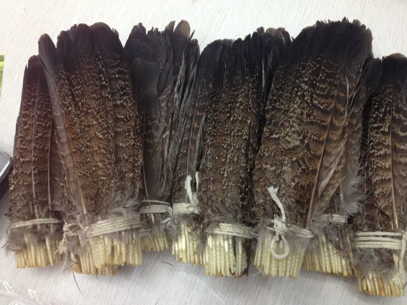 

Wholesale perfect 10pcs high quality scare natural Owl tail feathers 8-10inch/20-25cm Decorative diy